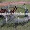 metal tubular used fence panel for livestock farm /horse panel fence