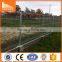 powder coated decorative flower garden fencing,iron fence for garden(ISO 9001 factory)