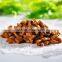 Pellet food machine