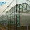 Large Size Glass Agricultural Greenhouse