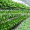 vertical farming hydroponic commercial system