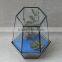 Micro Landscape Geometric Air Plant Succulent Glass Container Vase Pot Terrarium