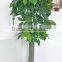 CHY030928 Potted money bonsai tree/high initation fake tree with good futurn