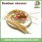 Wholesale Natural BBQ Use 20cm 30cm 40cm 50cm Bamboo Skewer