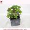 Artificial tropical plants in pot mini green plant artificial succulent for garden arrangement