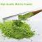 High Quality Green Tea Matcha Powder