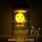 Magic Sun Solar Powered Night Light / Decoration