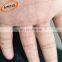 Agricultural Cheap Invisible Mist Bird Netting for Fruit Trees