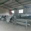 hazelnut shell removing machine hazelnut crushing machine almond press machine
