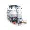 Diesel engine parts NT855 3262033 pt fuel pump