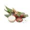 Natural Green Fresh Sushi Rolling Bamboo Leaves Food Decoration Leaf