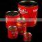 Small scale tomato paste processing plant