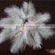 Wholesale DIY Craft Turkey Feather White Craft Feather And Decoration Feather For Sale