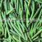 IQF Vegetable Frozen whole green bean