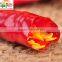 red hot chili for international market dried chilli stemless hot pepper