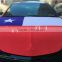 polyester car cover,Chile car bonnet cover,flag cover for cars