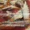 Canned Mackerel in Tomato Sauce