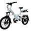 Strong fashion classic hot sale electric bike