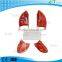 XC-321Plastic anatomical Lung Model
