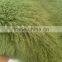 Wholesale Tibetan Mongolian Lamb Dyed Fur Plate