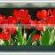 high resolution p5 led display screen p5 indoor full color