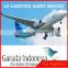 Cheapest shenzhen/guangzhou/beijing/shanghai/yiwu DHL air freight forwarder china to SURINAME---Apple skype:colsales32