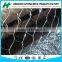 ELECTRO GALVANIZED CHICKEN NETTING BEFORE WEAVING