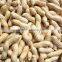 Good price good quality raw peanut with shell raw peanuts for sale