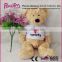 New design Lovely Fashion Factory price Gift Plush toy Bear with Dress