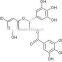 T-full EGCG / Epigallocatechin Gallate 70-95%