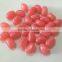 bulk small fruit jelly bean candy