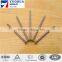 High quality professional cheap common nails sizes