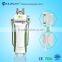 Professional!! Freeze Fat Cryolipolysis Anti Cellulite Fat Cavitation Rf Multifunction machine