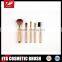 Shiny Golden Facial Makeup Brush Set with 5pcs