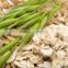 OAT QUICK COOKING FLAKES RICH IN PROTEIN