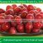 export delicious sweet fresh red globe grape red grape fresh grape