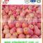 Wholesale 2015 Grade A Fuji Apple