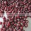 Dehydrated cherry/Preserved cherries/Chinese Dried cherry