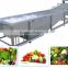 Stainless Steel Automatic Vegetable Fruit Washing Machine