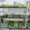 416 grow seedlings tray cart
