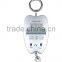 Digital hanging scale