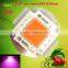 Horticulture Led,led Horticulture Lighting 100w Plant Led Full Spectrum