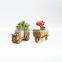 2016 hot sale creative succulent planter zakka car cartoon resin flower pots