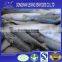 frozen seafood fish pacific mackerel