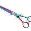 Rainbow pet grooming scissors