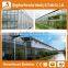 Heracles trade assurance used greenhouse frames for sale