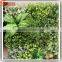 Beautiful green wall decoration green wall vertical garden green wall module