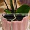 artificial real touch orchid with ceramic pot factory direct wholesale