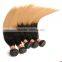 Beautiful 1b/27 straight 6a virgin hair alixpress malaysian hair