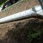 Spiral Welded Steel Pipe,Water Supply Pipe Product
